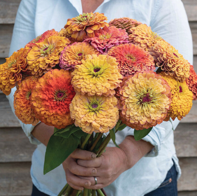 Flowers | Little Beau Seed Co.
